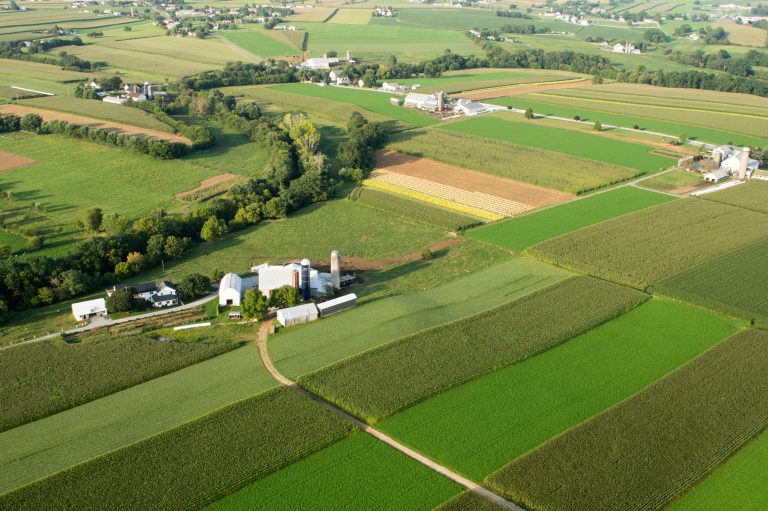 high-angle-view-agricultural-field